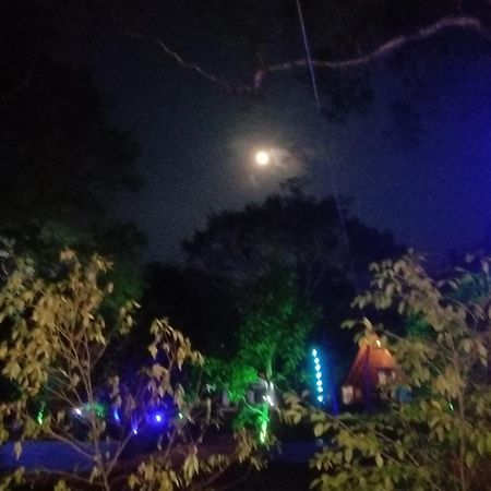 Lion King Jungle Cabanas Sigirija Zewnętrze zdjęcie
