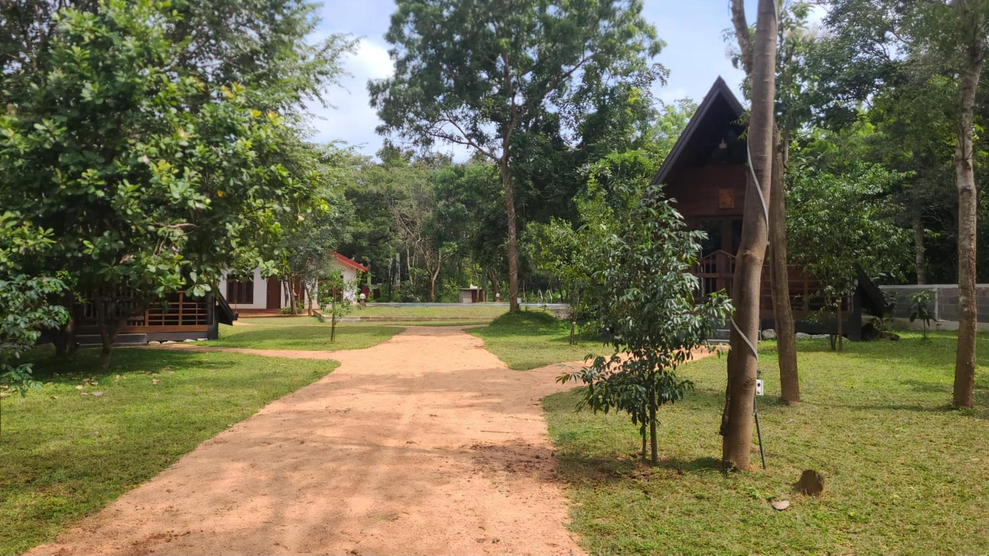 Lion King Jungle Cabanas Sigirija Zewnętrze zdjęcie