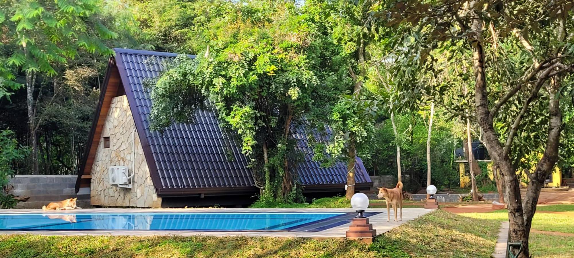 Lion King Jungle Cabanas Sigirija Zewnętrze zdjęcie