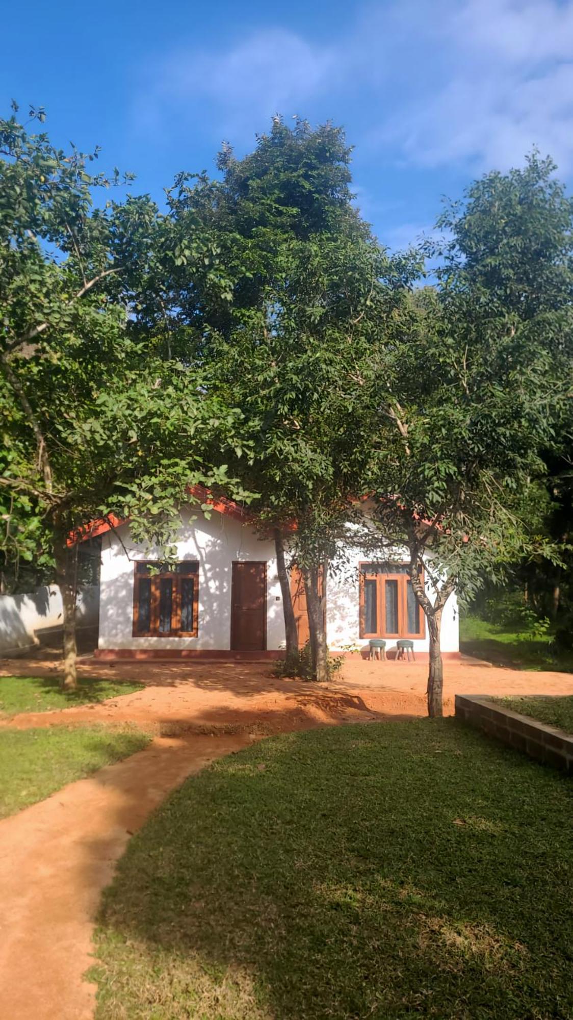 Lion King Jungle Cabanas Sigirija Zewnętrze zdjęcie