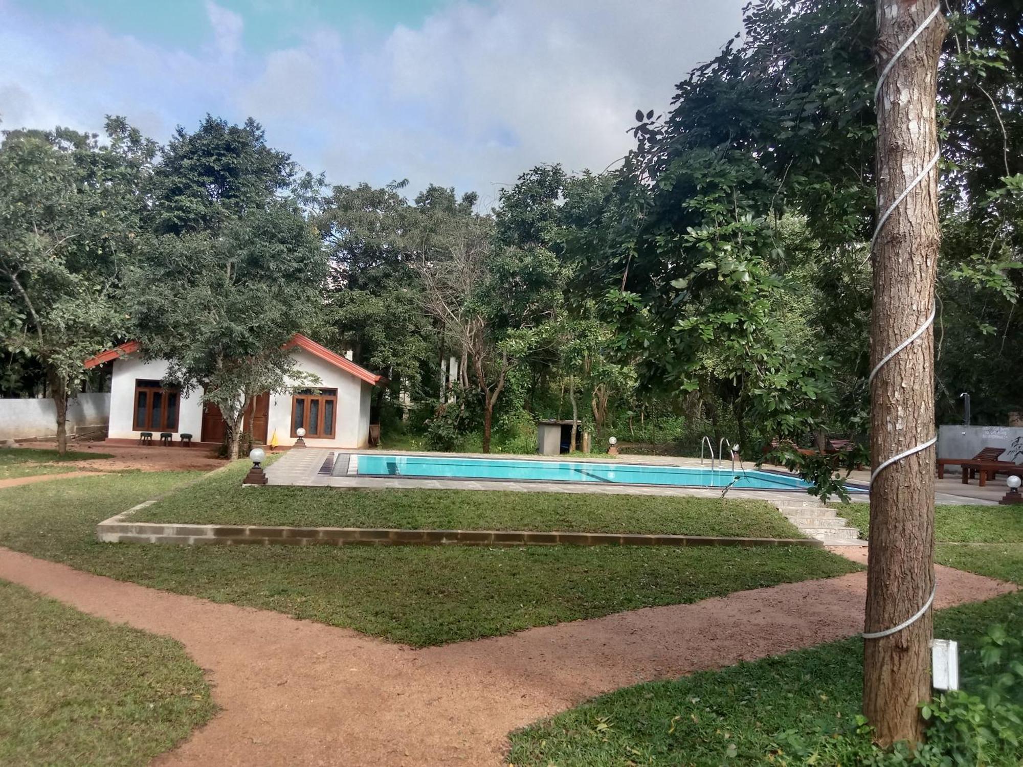 Lion King Jungle Cabanas Sigirija Zewnętrze zdjęcie
