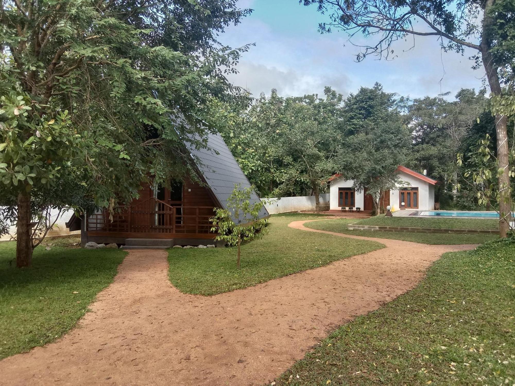 Lion King Jungle Cabanas Sigirija Zewnętrze zdjęcie